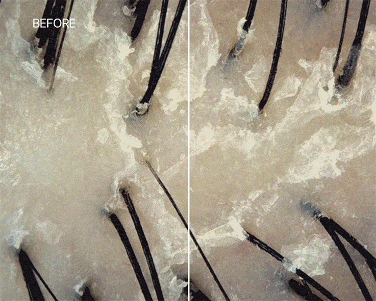 20260213110752900_700_0_80.gif 韓國 香氛 香氛 洗髮精 韓國 洗髮精