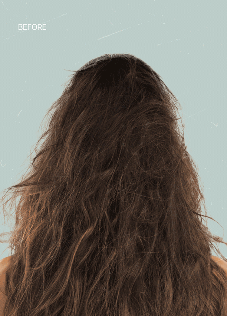 20260213110849675_700_0_80.gif 韓國 香氛 香氛 洗髮精 韓國 洗髮精