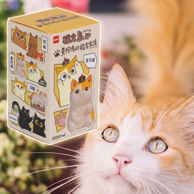 盲盒 公仔 公仔 盲抽 盲抽 盲盒