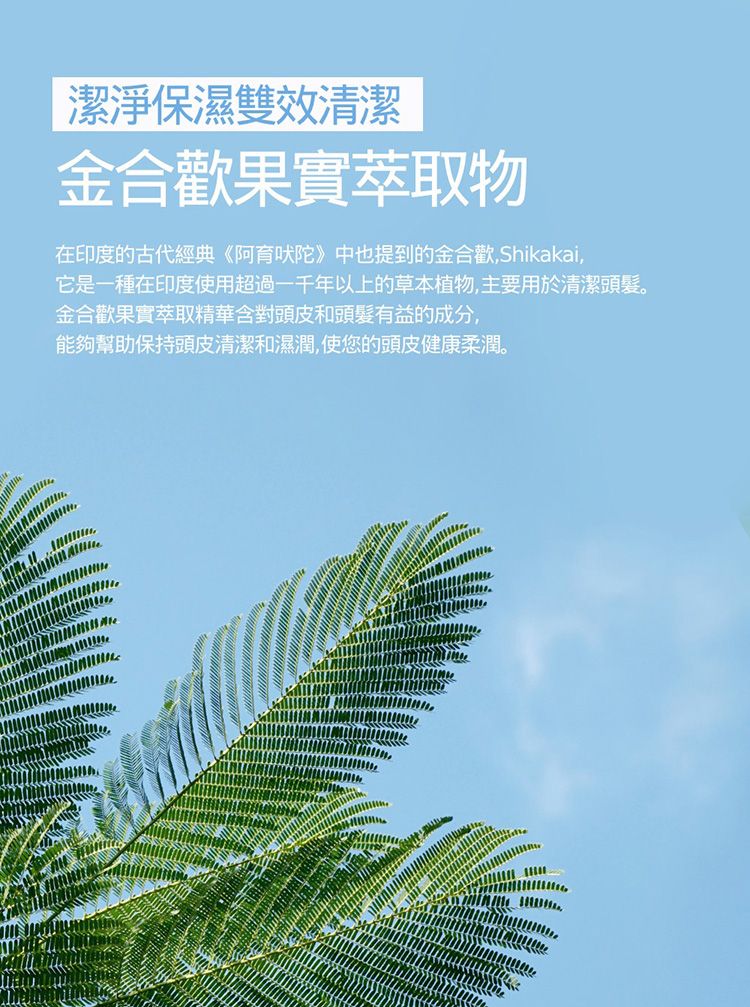 溫和 韓國 頭皮 洗髮精 溫和 洗髮精