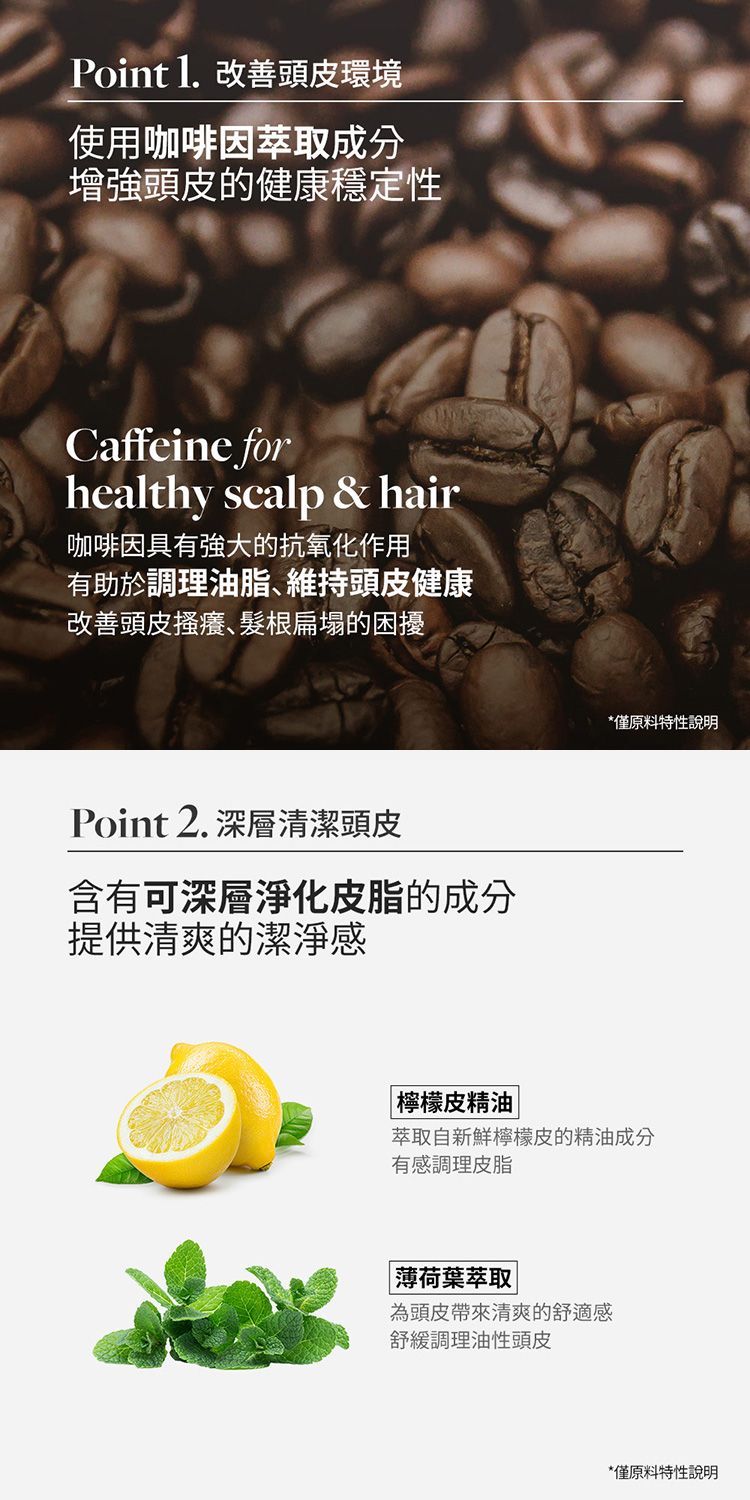 咖啡因 洗髮精