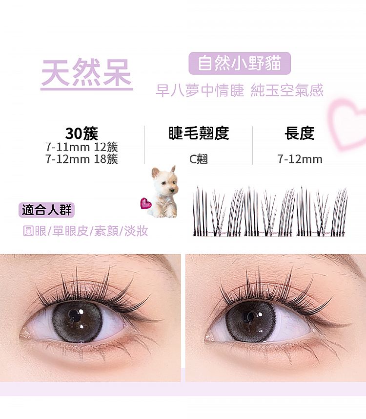 免膠 假睫毛 花洛莉亞 假睫毛 假睫毛 FLORTTE