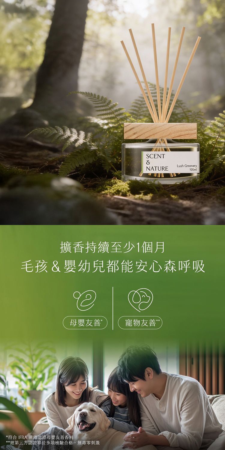 去味大師 擴香 去味大師 竹木香 擴香 竹木香