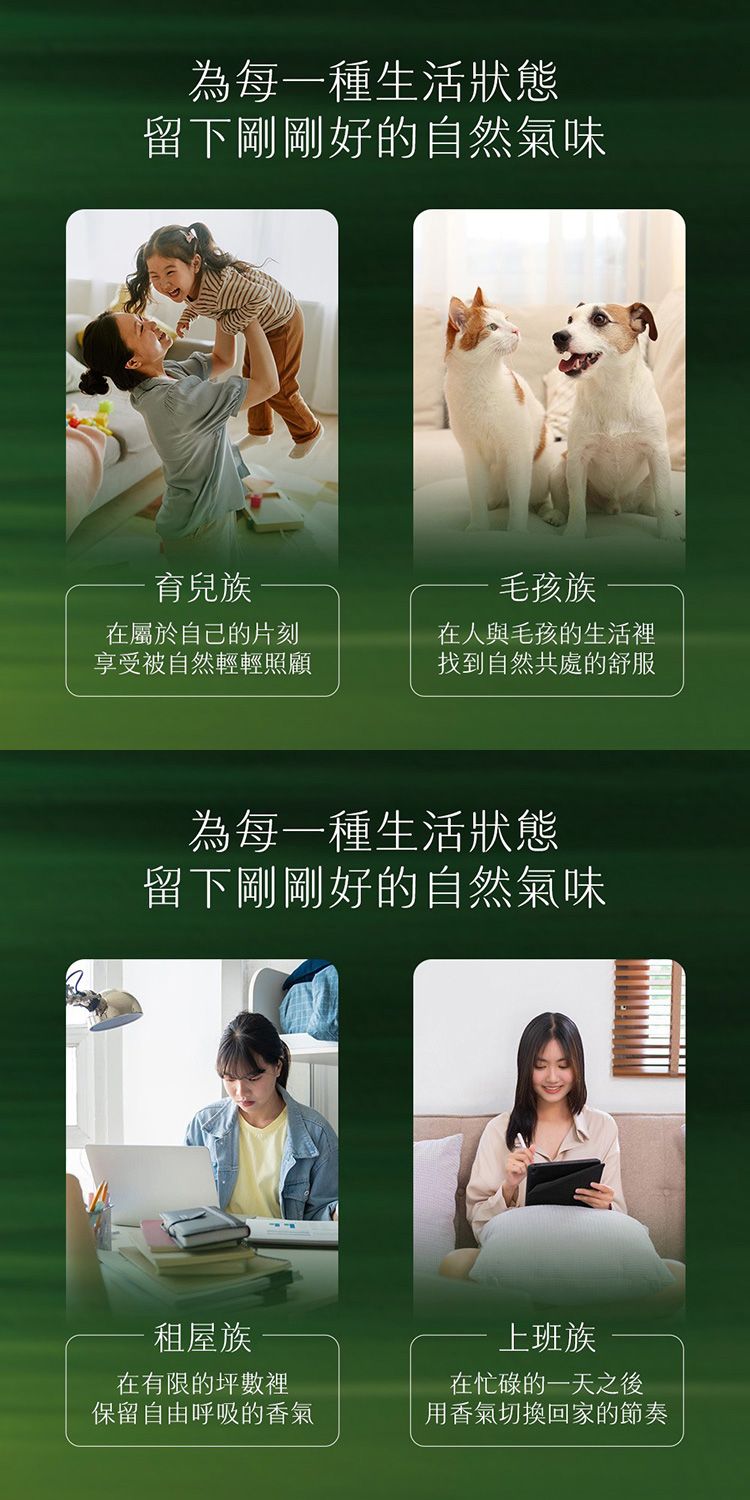 去味大師 擴香 去味大師 竹木香 擴香 竹木香