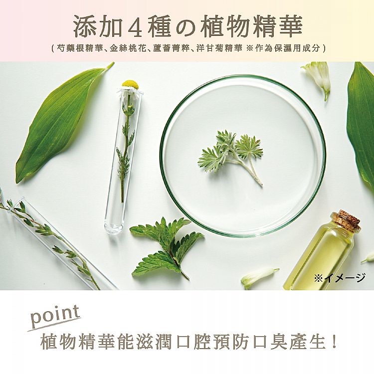 20250219110316575_750_0_80.jpg 美白 白茶