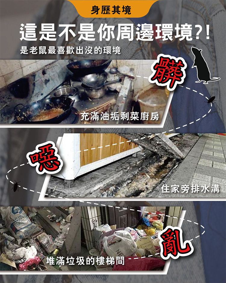 20260610163247773_750_0_80.jpg 天然 防護