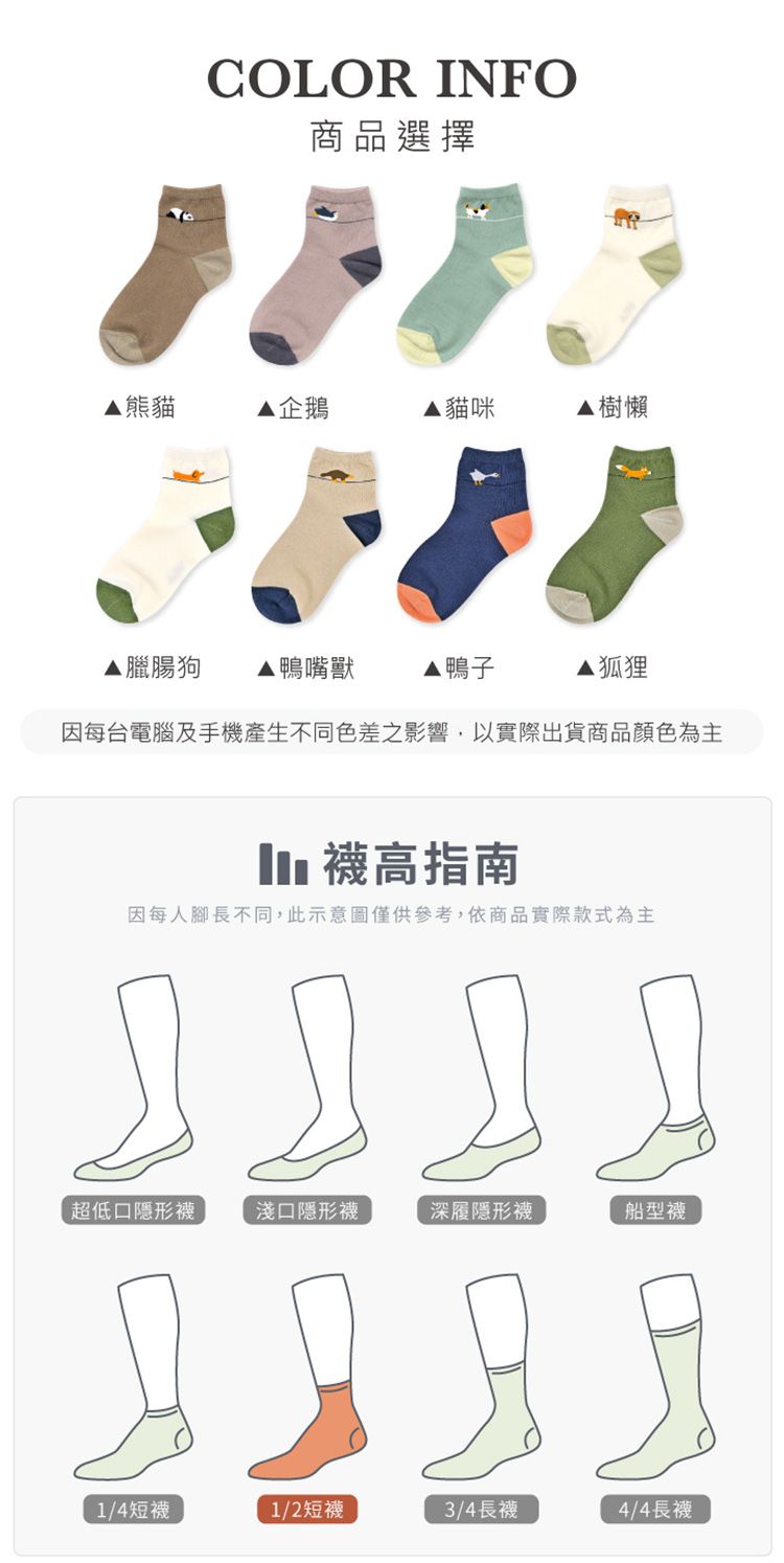 透氣 襪子 短襪 透氣 短襪 台灣製造