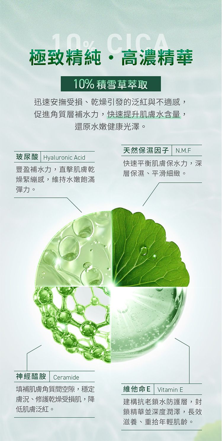 20260722102634555_750_0_80.jpg 舒緩 積雪草 舒緩 補水 豐潤 舒緩