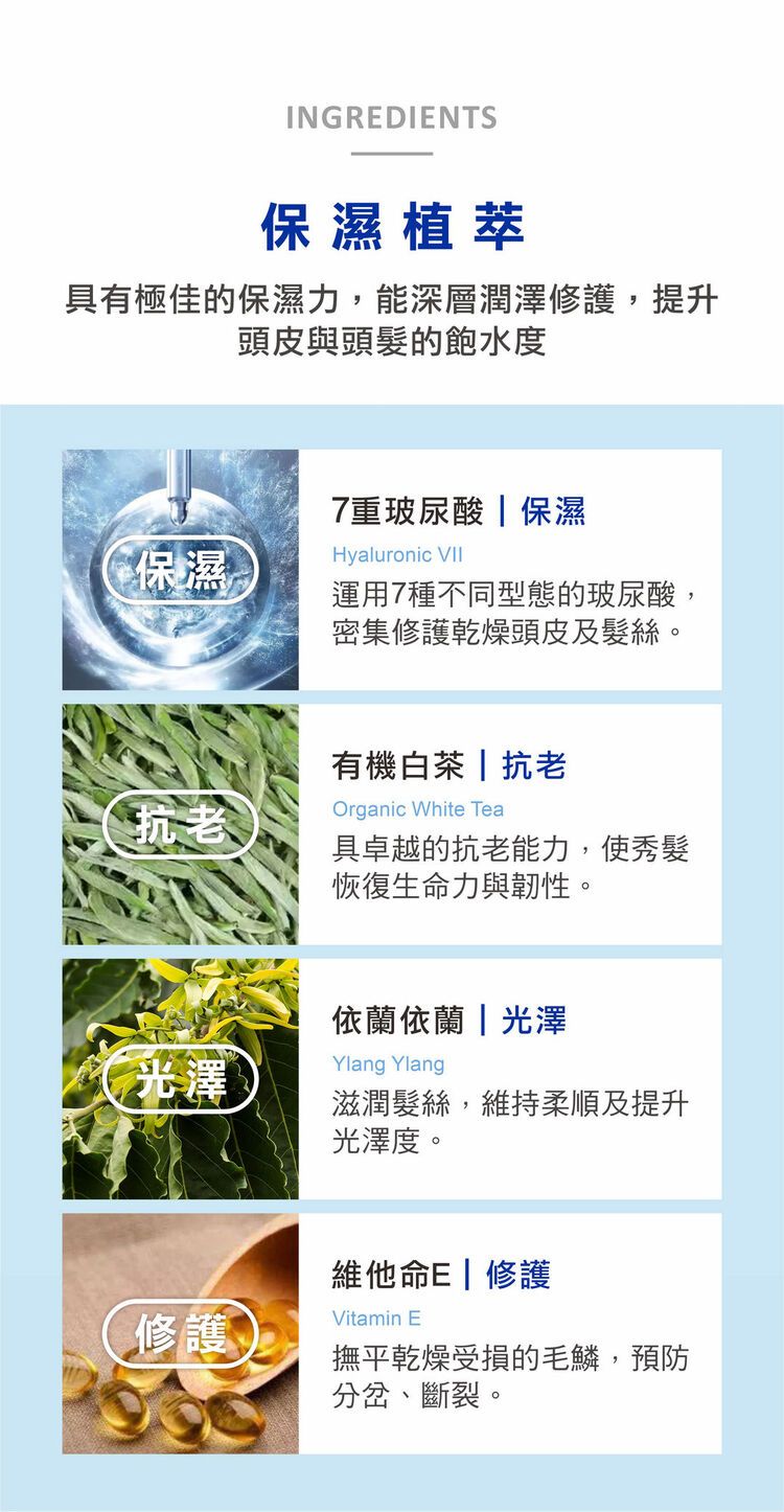 洗髮精 頭髮清潔 保濕 修復 護髮乳 頭髮護理