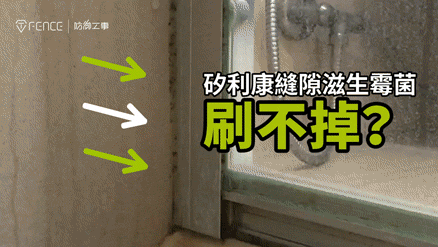 茶樹 精油 除霉凝膠 除霉劑