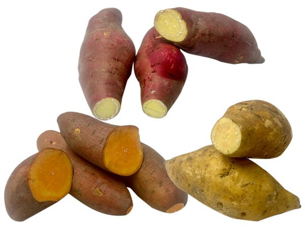 彰化縣大城番薯生產合作社(陳啟峰)~栗香地瓜／台農66號地瓜／台農57號地瓜(600g) ※限宅配／無貨到付款