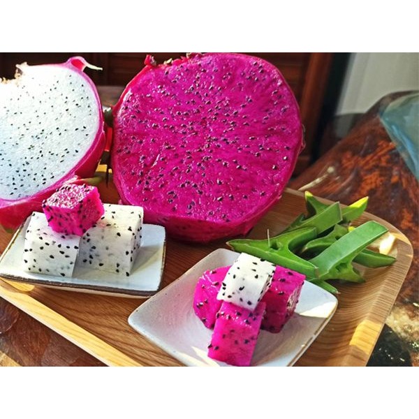 妞妞果園(陳啟宗)~紅肉紅龍果10斤裝(約11-12粒)常溫  ※限宅配／無貨到付款