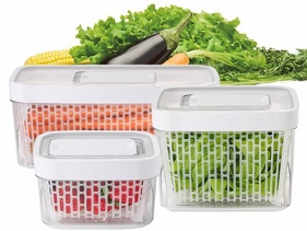 美國 OXO~我家有蔬果園蔬果活性碳長鮮盒／保鮮盒(三件組)