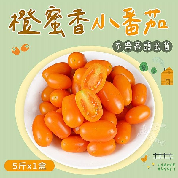 禾鴻~橙蜜香小番茄禮盒5斤x1盒(不帶蒂頭出貨)