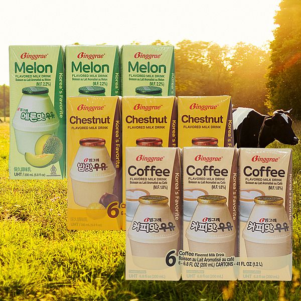 Binggrae~保久調味乳(200mlx6入) 款式可選 美式賣場熱銷