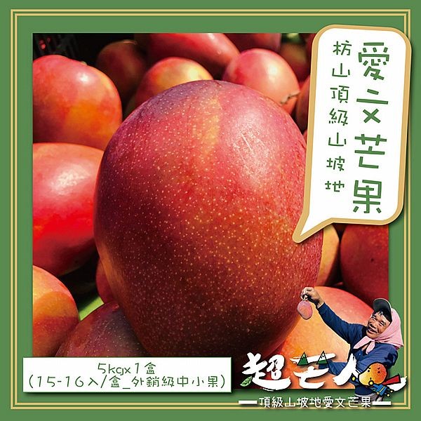 超芒人農場~屏東枋山頂級山坡愛文芒果禮盒(外銷級中小果)5kgx1盒(15-16入／盒)