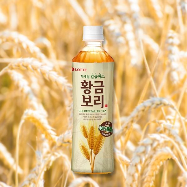 LOTTE樂天~黃金大麥茶(500ml)