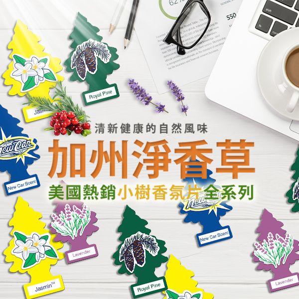 美國 Little Trees-小樹香氛片(1入) 全系列味道多款可選 香氛吊飾片